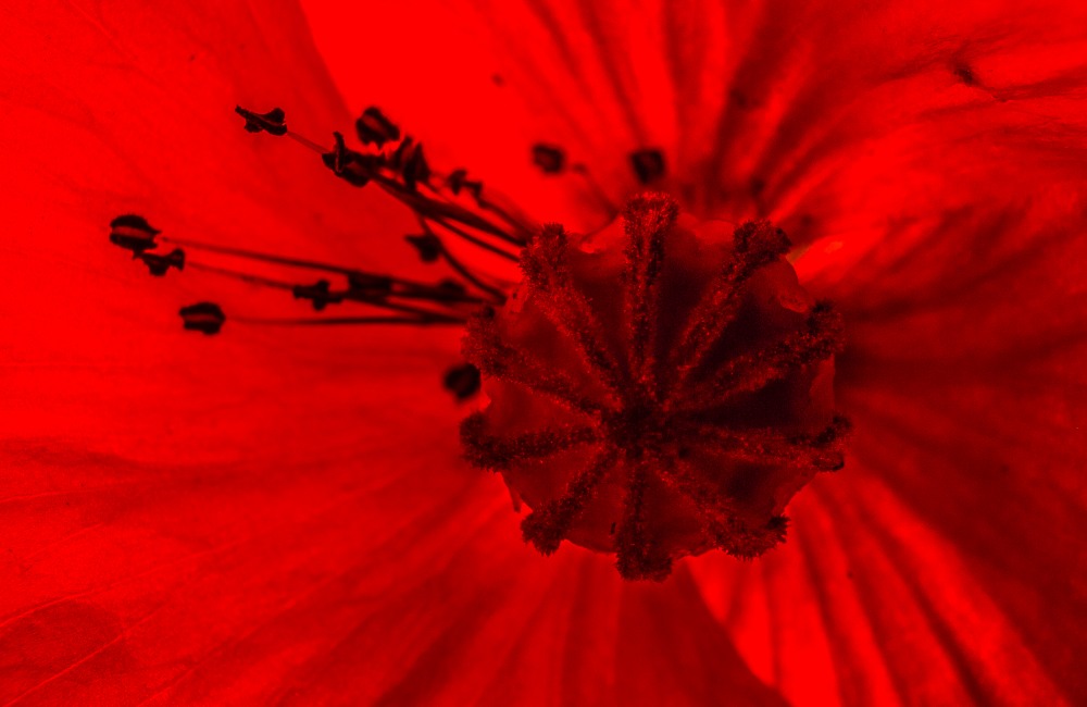 12. Platz Christoph Frank